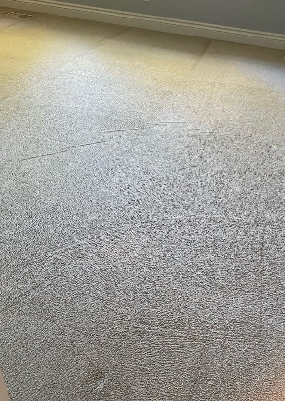 best carpet cleaning kilmore