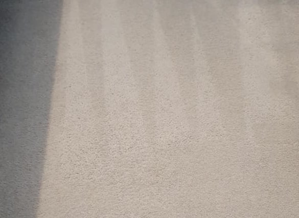 carpet cleaning kilmore
