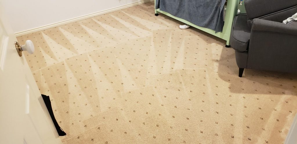 Expert Carpet Cleaning Service
